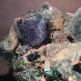 Fluorite
Rogerly Mine, Frosterley County, Durham, England
10.7 x 7.8 x 7.3 cm (Author: Don Lum)