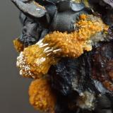 Mimetite on manganese oxides.
Dry Gill, Caldbeck Fells, Cumbria, England, UK.
8 mm wheatsheaf on 4 cm matrix. (Author: Ru Smith)