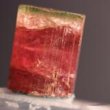 Elbaite (Tourmaline group, variety Rubellite)
Himalaya Mine, Gem Hill, Mesa Grande, California, USA
24 x 18 cm
ex Fred Burr
Green Cap Tourmaline (Author: Don Lum)