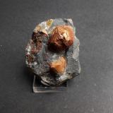 Pirita
Minas de Cala, Cala, Huelva, Andalucía, España
5 x 4,5 x 3 cm
El cristal de arriba parece una combinación de piritoedro y octaedro. El más pequeño de abajo parece un octaedro con las caras del rombododecaedro. Interesantes piritas para mi creciente sección temática de la colección. (Autor: Antonio Alcaide)