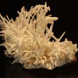 Aragonite
Sounion, Greece
11 x 8.5 cm (Author: Don Lum)