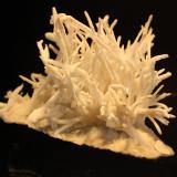 Aragonite
Sounion, Greece
11 x 8.5 cm (Author: Don Lum)