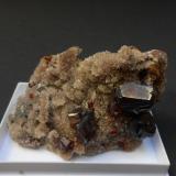 Esfalerita, galena, cuarzo
Shuikoushan Mine, Changning Co. Hengyang Prefecture, China
8 x 4,5 x 3,5 cm
Clásicas ya esfaleritas de Shuikoushan sobre drusa de pequeños cristales de cuarzo. En esta pieza los cristales de galena son pequeños. El cristal mayor de esfalerita mide 1,5 cm. (Autor: Antonio Alcaide)