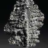 Silver
Chañarcillo, Copiapó Province, Atacama Region, Chile
2x1,5x1 cm
Dendritic sample of Silver (probably pseudomorph after Acanthite) from an old, important origin. (Author: Simone Citon)