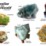 Minerals from Black Forest localities
Black Forest, Germany
 (Author: Tobi)