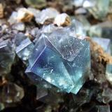 In sunlight
Fluorite, Galena, cerussite (?)
Rogerley Mine, Weardale, Co Durham, England, UK.
Fluorite to 7 mm (Author: nurbo)