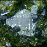 Scheelita-granate-epidota-uralita
Mina Milucha - Finca Palombatos - Burguillos del Cerro - Badajoz - Extremadura - España
7 x 3 cm -  cristal de Sheelita 3.5 mm
detalle (Autor: Mijeño)