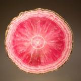 Rhodochrosite
Capillitas Mine, Andalgalá Department, Catamarca, Argentina
0.6 x 8.0 cm
Polished section through a rhodochrosite stalactite with concentric bands surrounding a bright pink center core. (Author: crosstimber)