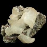Calcite
Flambeau Mine, near Ladysmith, Rusk County, Wisconsin, USA
81 x 69 x 43 mm

From the East End Footwall Orebody, Marker 418.0 1010 Level

"Wheat sheave" shaped white Calcites to 32 x 16 mm, with pearly luster and light-red Hematite accents are perched on sparkly contrasting matrix of Calcite. Although there is some damage, this is a very rare and important specimen-one of only three Calcites found at the Flambeau Mine in Wisconsin, and the very best one found. It was collected by Casey Jones who sold it to F. John Barlow (#5972), and was later consigned to Casey upon dissolution of the Barlow collection. (Author: GneissWare)