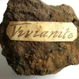 Vivianite
Wheal Owles, Botallack, St. Just, Cornwall, England, UK
label on rear (Author: ian jones)