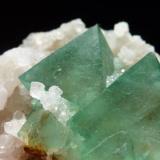 Fluorita
Riemvasmaak, Kakamas, Northern Cape, Sudáfrica
6 x 6 cm.

Detalle (Autor: javier ruiz martin)