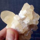Calcita
Cantera Candesa, Camargo, Cantabria, España
8 x 7 cm (Autor: Cristalino)