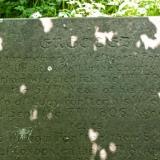 Tomb of Westgarth Forster and family.
Garrigill, Cumbria. (Author: Ru Smith)