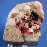 Rhodonite
Conselheiro Lafaiete, Minas Gerais, Brazil
8 x 6 cm (Author: Don Lum)