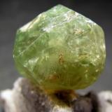 Grossularia (variedad Tsavorita)
Montes Lelatema, región de Arusha, Tanzania.
15 x 13 mm. (Autor: José Luis Zamora)