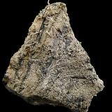 Plata
Mina Pohla, distrito de Achwarzenberg, Erzgebirge, Sajonia, Alemania.
47 x 67 x 33 mm. (Autor: José Luis Zamora)