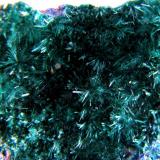 Brochantita + Linarita
Goulmina, Er Rachidia, Meknes - Tafilalet, Marruecos.
72 x 33 x 31 mm.
Detalle (Autor: José Luis Zamora)
