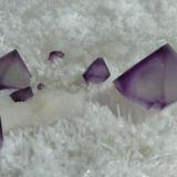 Fluorita en Cuarzo
De´an Fluorite Mine, Wushan, Jiujiang, Jiangxi, China
12 x 7 cm.

Detalle (Autor: javier ruiz martin)