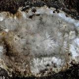 Mesolita
Agaete, Gran Canaria, Islas Canarias, España.
Ancho de imagen 1,8 cm
Mesolita blanca rellenando una vacuola de un basalto amigdalar. (Autor: María Jesús M.)