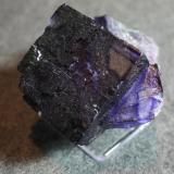 Fluorite
Elmwood Mine, Smith County, Tennessee, USA
10.5 x 8 cm (Author: Don Lum)