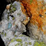 aquamarine beryl
in boulders of pegmatite (Author: thecrystalfinder)
