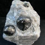 Obsidiana
Superior, Mtes. Pinal, Pinal Co., Arizona, EEUU.
67 x 42 x 46 mm
Vidrio volcánico
Lágrimas del apache, en matriz de perlita (Autor: José Luis Zamora)