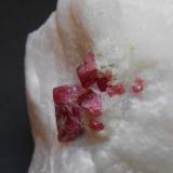 Espinela
An Phu, Luc Yen, YenBai, Vietnam
8 x 6 x 5,5 cm
Detalle de los cristales de espinela. La paragénesis de esta localidad es similar a la de Mijas/Ojén en Málaga con espinelas, clinohumita, pargasita. Algo de esta última -de color verde- se observa sobre el mármol. (Autor: Antonio Alcaide)