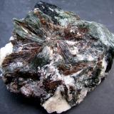 Astrofilita
Macizo de Khibiny, Península de Kola, Rusia.
70 x 61 x 34 mm. (Autor: José Luis Zamora)