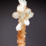 Stilbite
Aurangabad District, Maharashtra, India
3.2 x 8.0 cm.
A group of colorless stilbite crystals attached to a thin stalactite of salmon-colored heulandite crystals (Author: crosstimber)