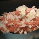 Apophyllite-(KF)
Aurangabad District, Maharashtra, India
8.5 x 15.0 cm.
Colorless crystals of apophyllite with white stilbite crystals, scattered over a thin crust of small reddish-pink heulandite crystals. (Author: crosstimber)