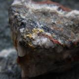 Gold on Quartz
Wright Hardgrave Mine, Kirkland Lake, Ontario, Canada
4cmx3cm

Gold in quartz (Author: derrick)