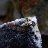 Gold on Quartz
Wright Hardgrave Mine, Kirkland Lake, Ontario, Canada
4cmx3cm

Gold in molly and quartz (Author: derrick)