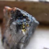 Gold on Quartz
Wright Hardgrave Mine, Kirkland Lake, Ontario, Canada
3cmx3cm

Gold in molly and quartz (Author: derrick)