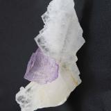 Fluorite on Celestine
Mina El Tule, Melchor Muzquiz, Coahuila Mexico
14 x 8 x 5 cm

3 cm fluorite cube perched on side of 14 x 8 cm Celestine crystal. 2013 Find. (Author: Peter Megaw)