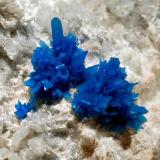 Pentagonite
Quarry #4, Wagholi, Pune District, Maharashtra, India
6.0 x 6.2 cm., FOV~4.0 cm.
Two groups of pentagonite resting on a crust of blue chalcedony and white mordenite on brown basalt. (Author: crosstimber)