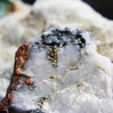 Gold
Wright Hardgraves, Kirkland Lake, Ontario, Canada
3.2 x 3 cm

Gold in molly and quartz (Author: derrick)