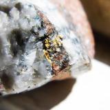 Gold
Wright Hardgraves, Kirkland Lake, Ontario, Canada
4 x 4 cm

Gold in molly and quartz (Author: derrick)