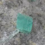 Fluorita<br />Pedrera Berta, Turó de Can Domènech, Serra de Roques Blanques, Sant Cugat del Vallès-El Papiol, Comarca Vallès Occidental / Baix Llobregat, Barcelona, Cataluña / Catalunya, España<br />83 x 55 x 40 mm<br /> (Autor: carles)