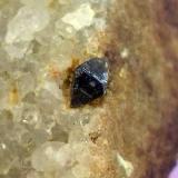 Anatasa
Mina Santa María, Pedroso de Acim, Cáceres, Extremadura, España
Cristal de 3 mm (Autor: Cristalino)