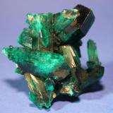 Dioptase
Christoff Mine, Kaokoveld, Namibia
5.1 x 4.7 cm (Author: Don Lum)