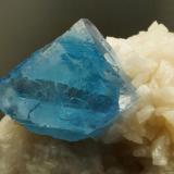Fluorite on Dolomite.
Florence Mine, Cumbria, England, UK.
27 mm blue fluorite on 8 cm dolomite matrix. (Author: Ru Smith)