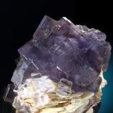 Fluorita, Baritina
La Cabaña, Zona Minera de Berbes, Ribadesella, Asturias, España
14x12cm, cristales hasta 4cm de arista
detalle (Autor: Raul Vancouver)