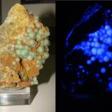 Fluorita
Afloramientos de Singuerlín. Santa Coloma de Gramenet. Barcelonès. Barcelona. Cataluña. España
8,5 cm.
Presenta fuerte fluorescencia bajo luz UV de onda larga (Autor: nimfiara)