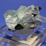 Beryl (var Aquamarine), Schorl
Erongo Mountains, Erongo Region, Namibia
5.2 x 5.0 cm (Author: Don Lum)