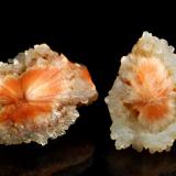 Scolecite
Chandanapuri, Nasik District, Maharashtra, India
(Left) 3.0 x 3.9 and (right)  3.6 x 4.5 cm.
Radiating acicular orange scolecite encased in a nodule of colorless chalcedony. These were new to the market in 2013. (Author: crosstimber)
