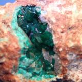 Dioptase, Limonite
Tsumeb Mine, Namibia
9.7 x 7.0 cm (Author: Don Lum)