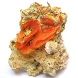 Wulfenite
Mibladen Mining District, Midelt, Khénifra Province, Meknès-Tafilalet Region, Morocco
Specimen height 3 cm (Author: Tobi)