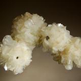 Stilbite
Pune, Mumbai District, Maharashtra, India
6.7 x 9,9 cm.
Four intergrown hemispheres of creamy white stilbite forming hollow casts which contain small amounts of brown calcite. Collected in 2012. (Author: crosstimber)