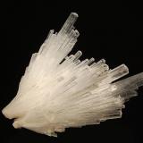 Scolecite
Chalisgaon, Nasik District, Maharashtra, India
8.0 x 10.0 cm.
A divergent spray of colorless, thick-bladed scolecite crystals. Barely visible in the picture are several rhombic calcite crystals attached to the prism sides. (Author: crosstimber)