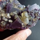 Fluorita y Calcita
Denton Mine, Harris Creek, Hardin, Illinois, USA
10 x 7 cm.

Detalle (Autor: javier ruiz martin)